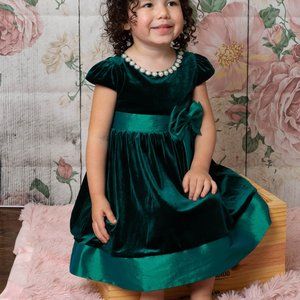 COPY - Rare Editions Hunter Green Toddler Dress